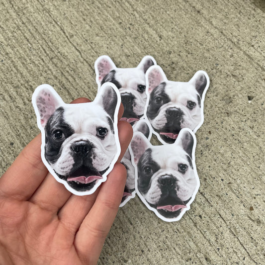 Custom Pet Stickers