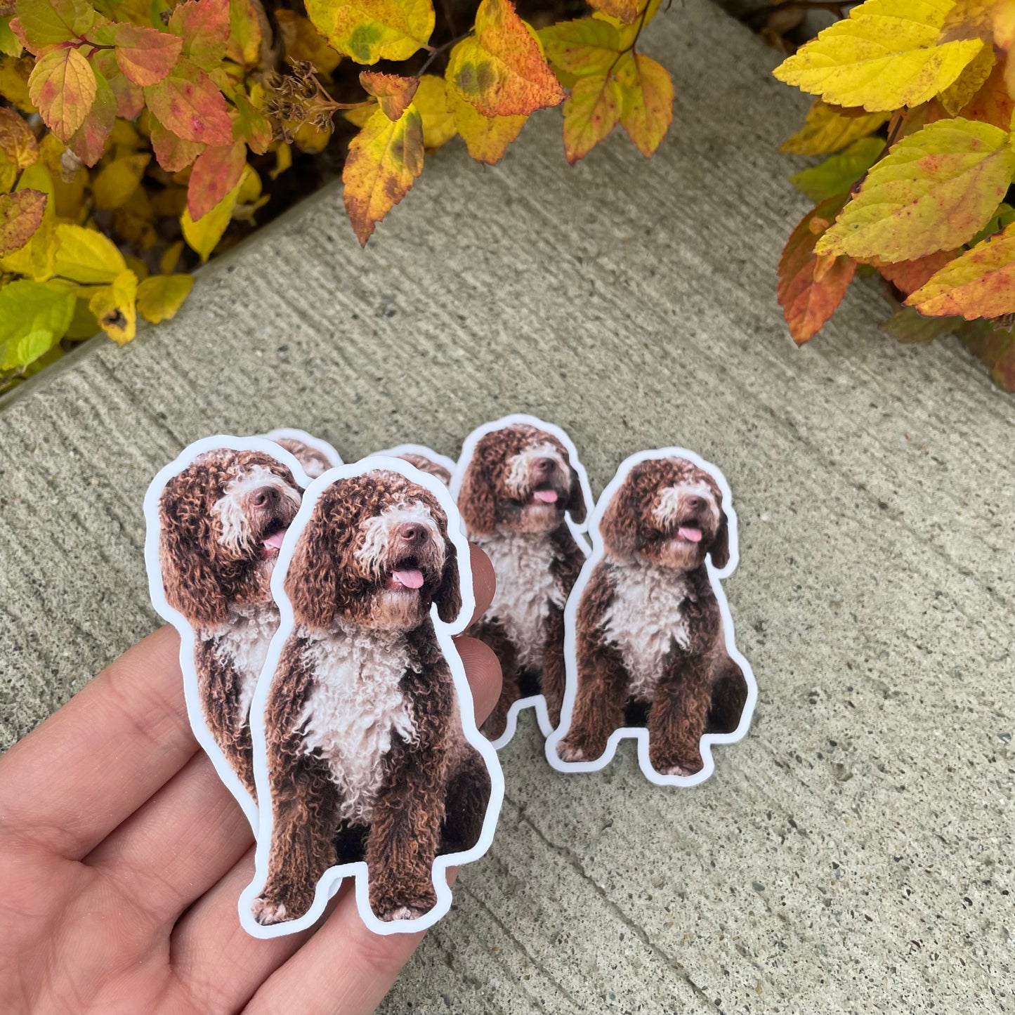Custom Pet Stickers