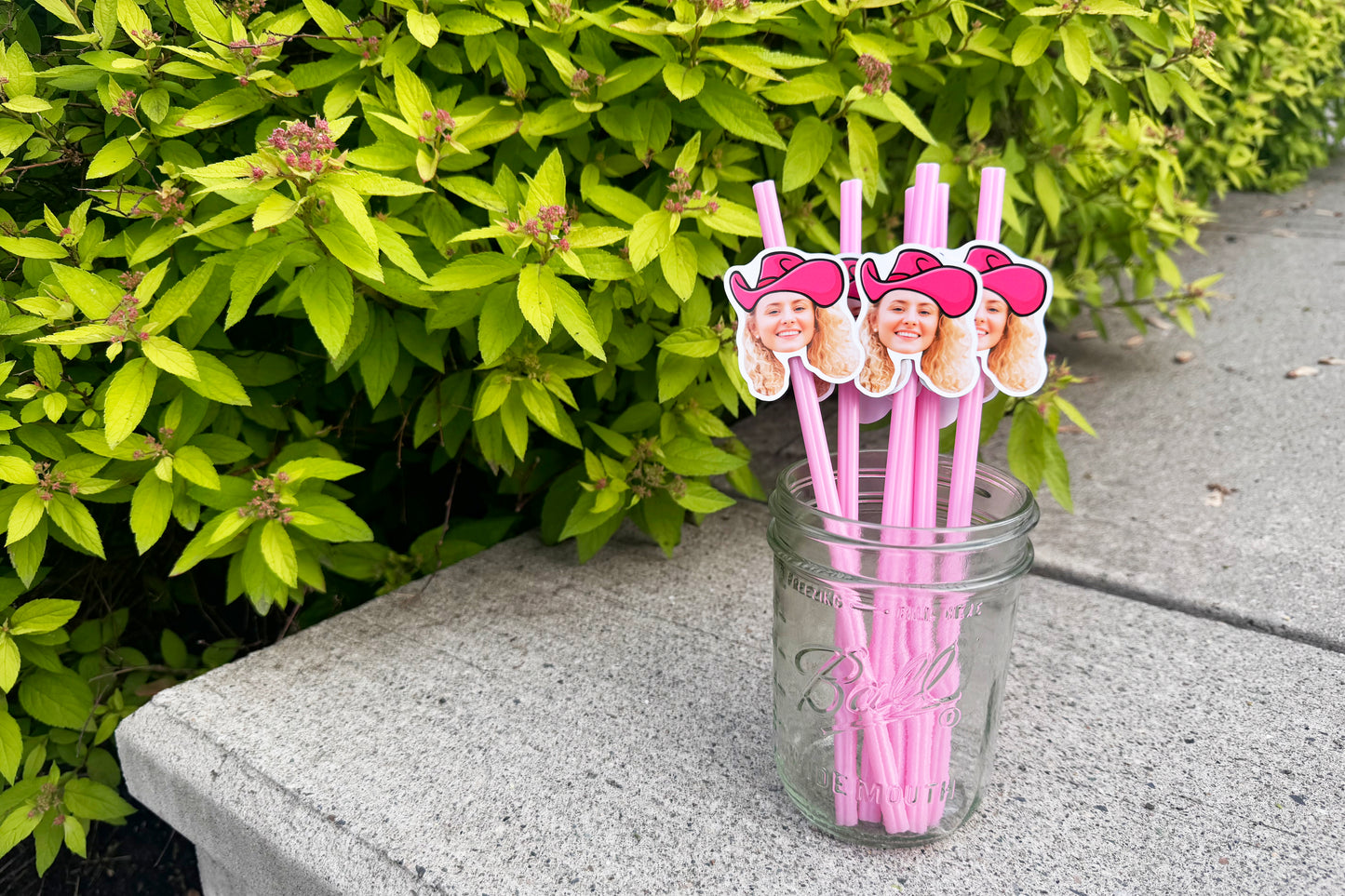 Cowgirl Heart Straws - Set of 12