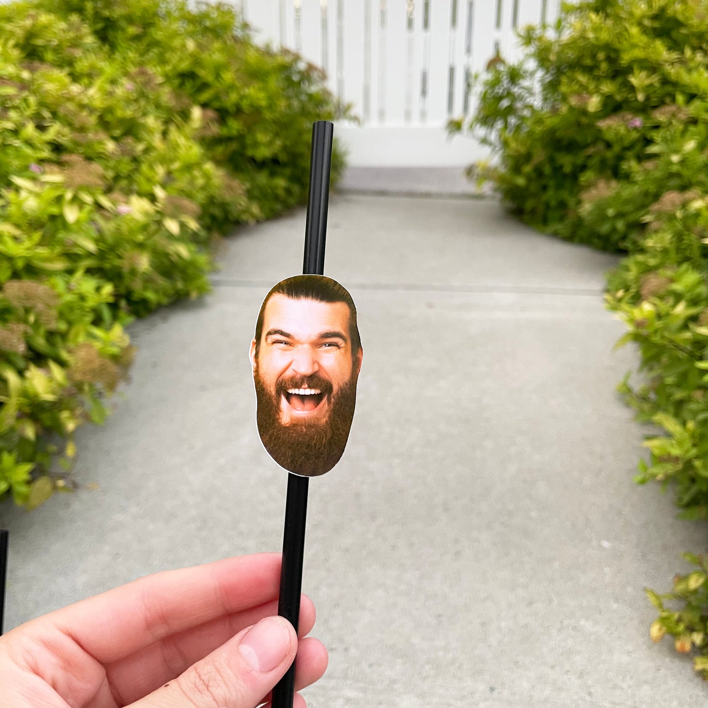 Custom Face Straws (Plastic Straw)