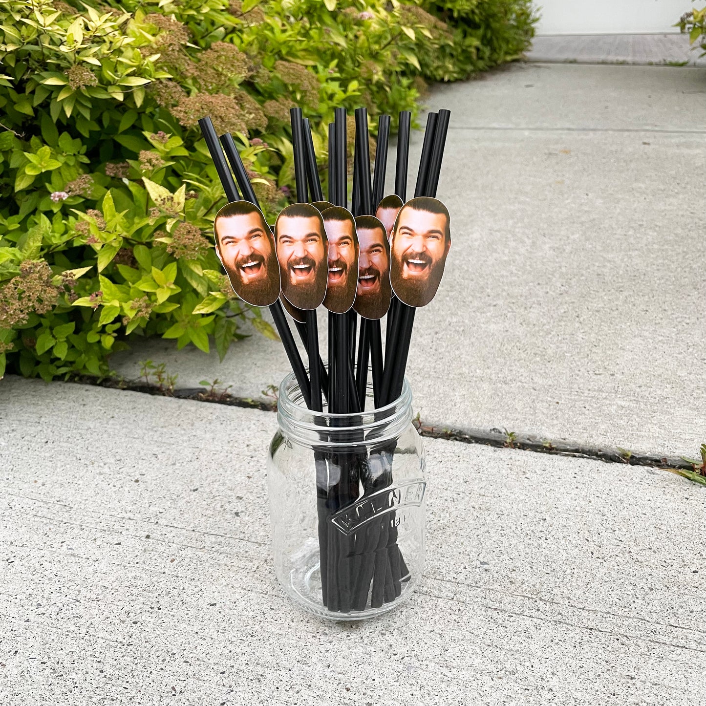 Custom Face Straws (Plastic Straw)